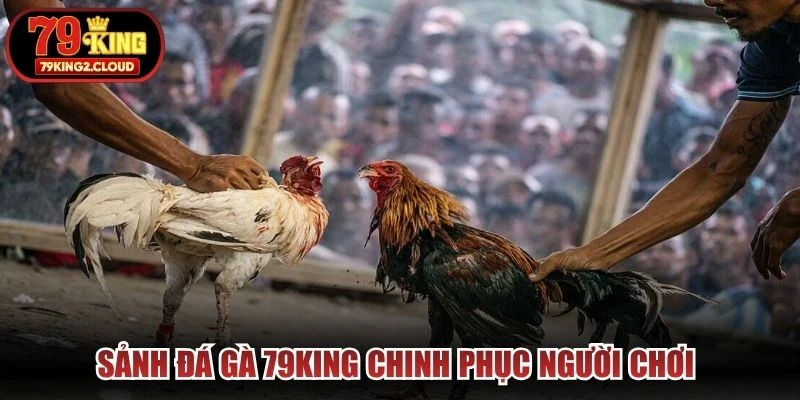 Sảnh đá gà 79KING chinh phục người chơi nhờ sự đa dạng trong các hình thức