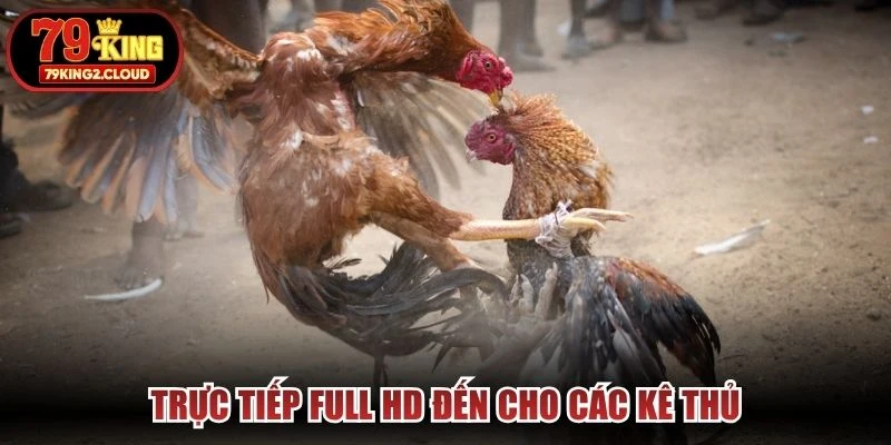 Trực tiếp full HD đến cho các kê thủ